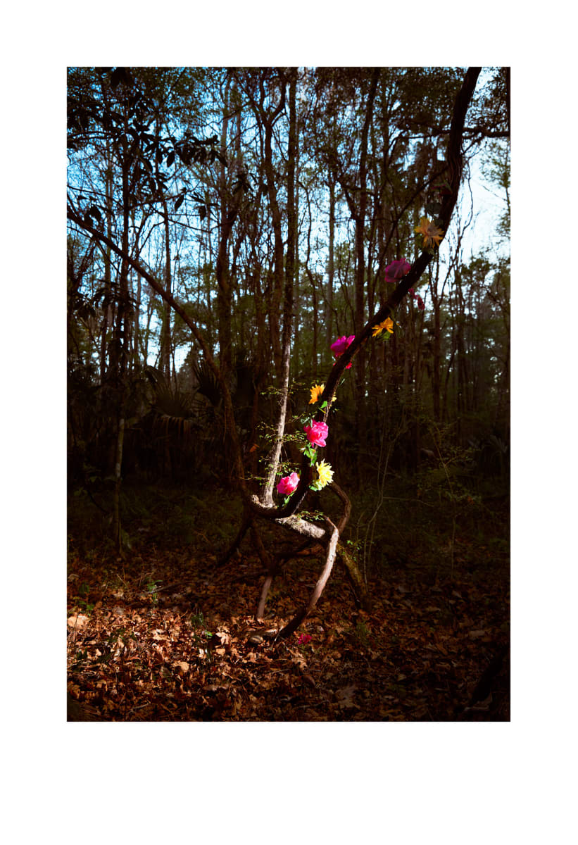 ikebana 8627 by Leslie Gabaldon 