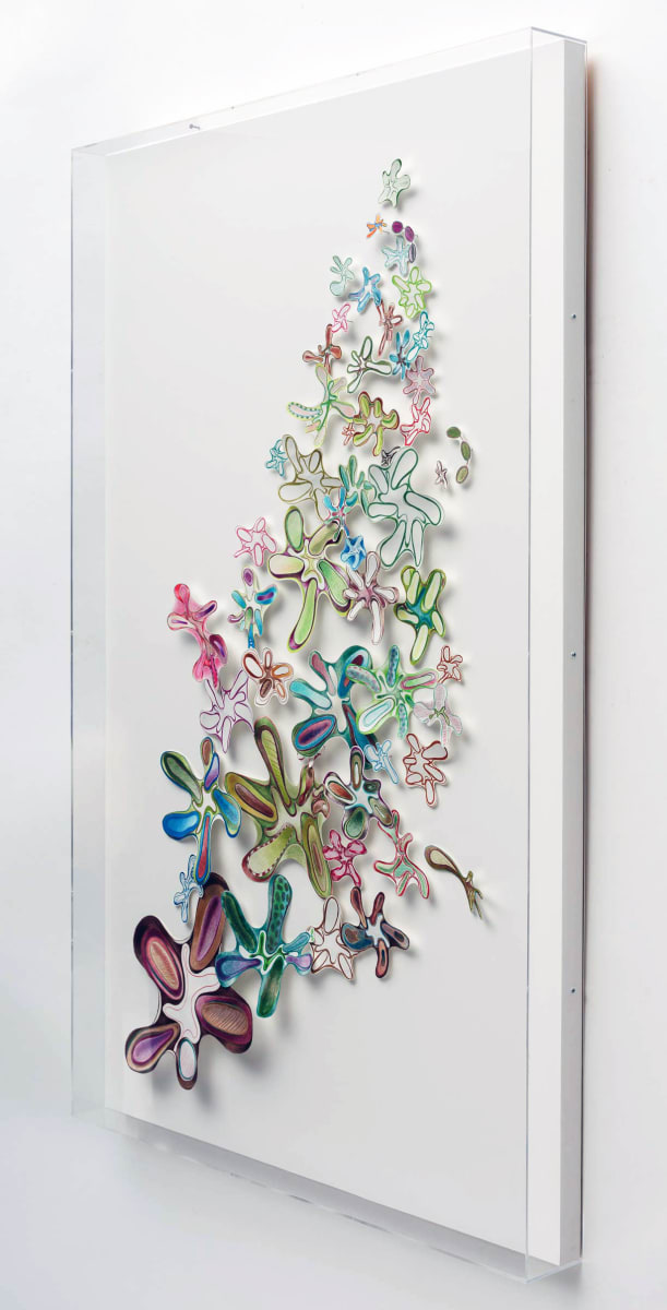 Fraternal Foliage (installation) by Cynthia Mosser 