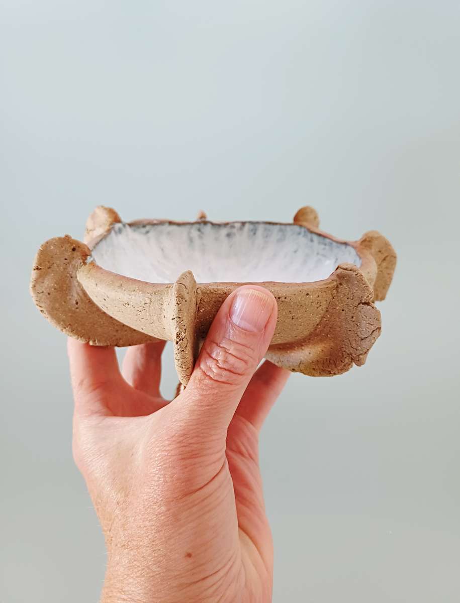 Reef Finned Bowl VII by Jo Richards Hooker Artist 