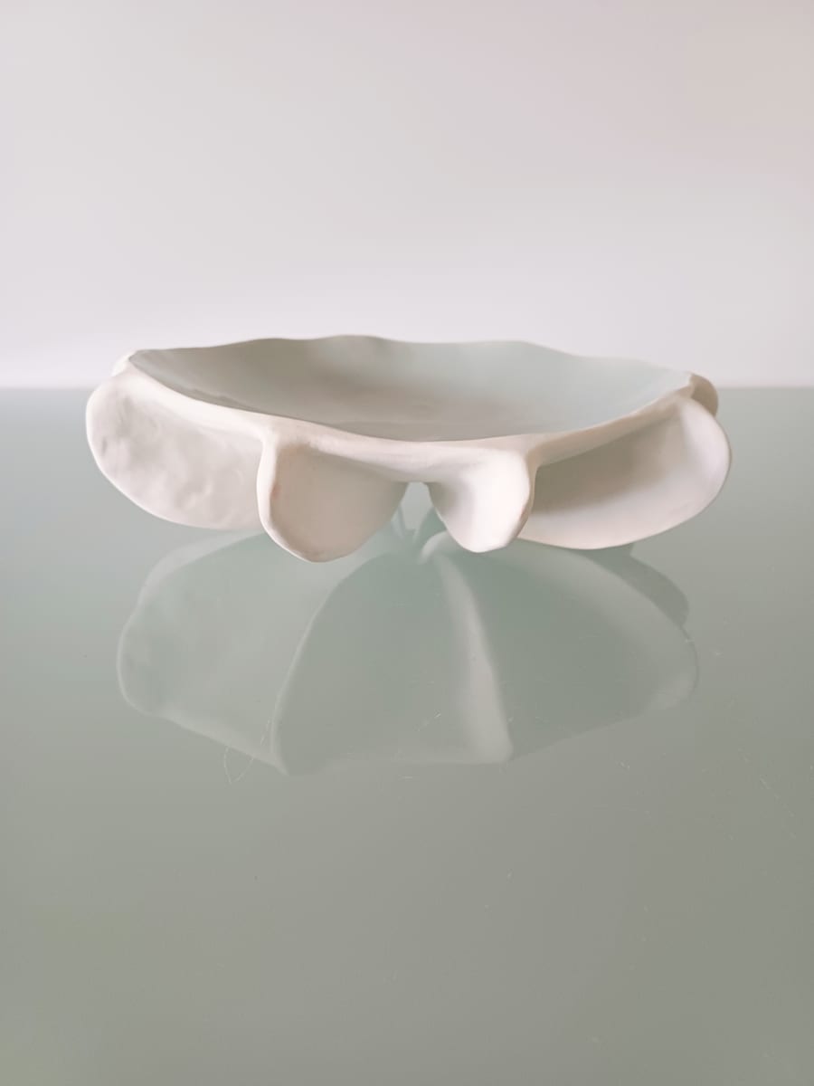 Reef Finned Bowl VIII (large) by Jo Richards Hooker Artist 