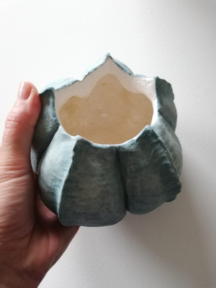 Seed Pod Bowl by Jo Richards Hooker Artist 