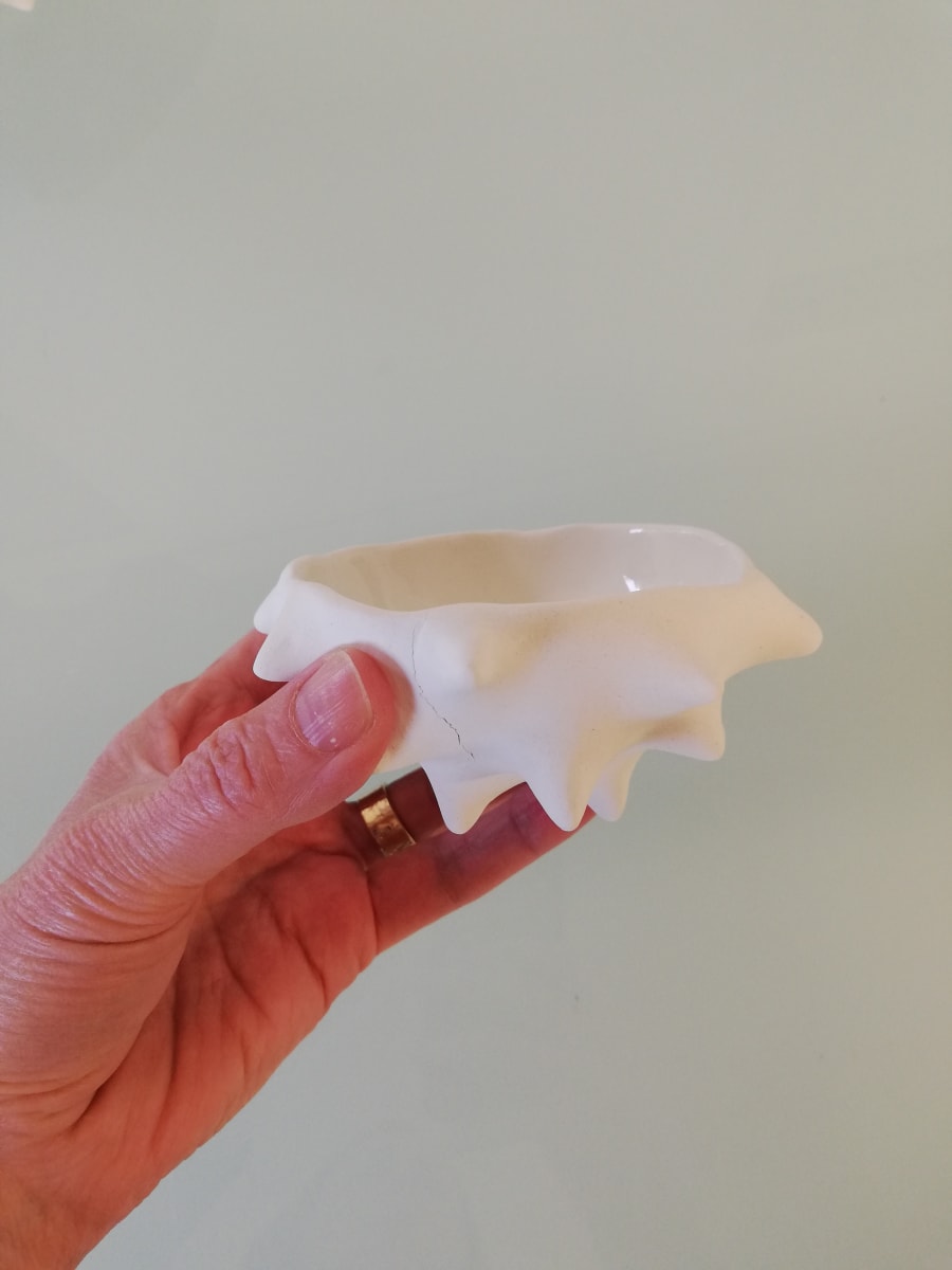 Urchin Bowl II by Jo Richards Hooker Artist 