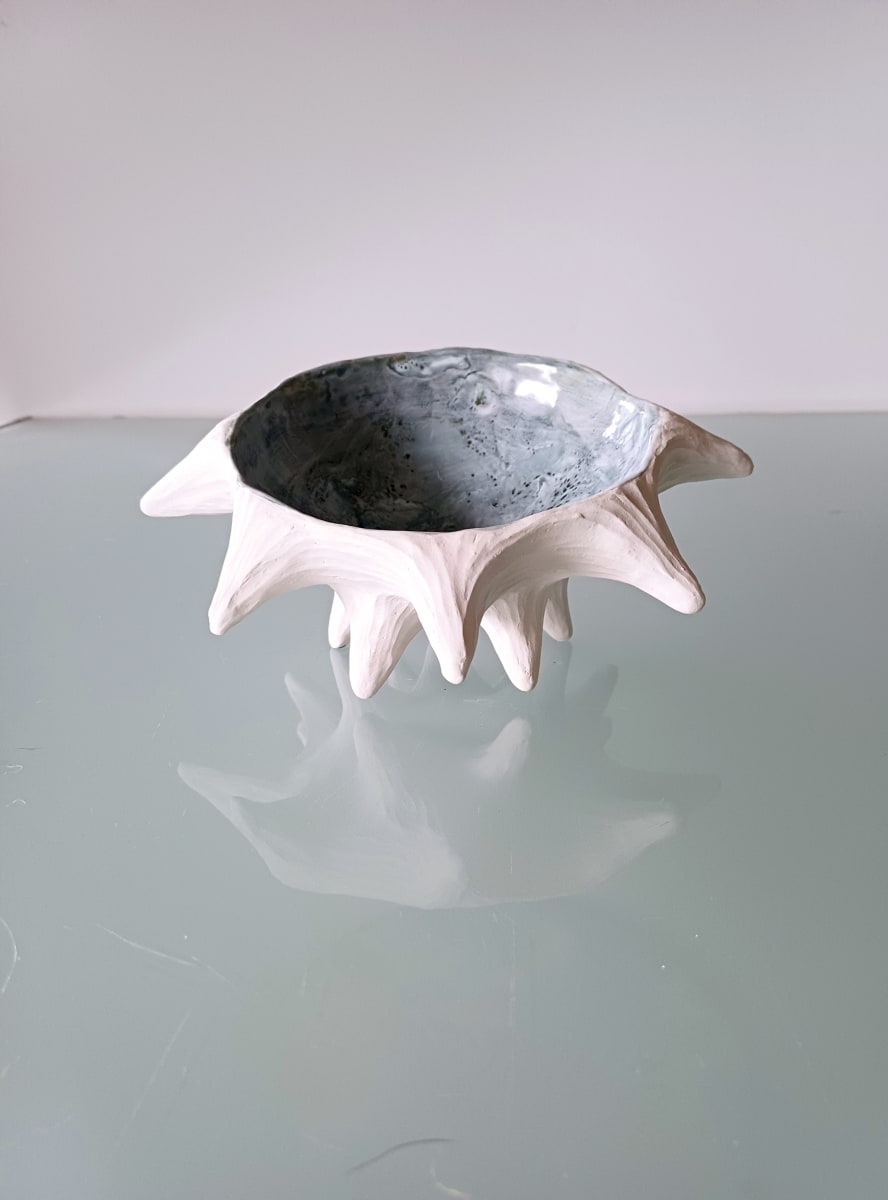 Urchin Bowl VIII by Jo Richards Hooker Artist 