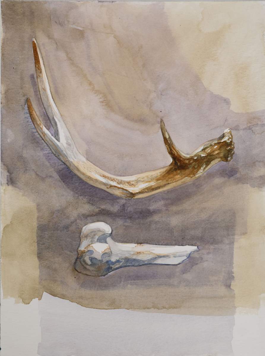 Bone by Phil Irish, Image 1.