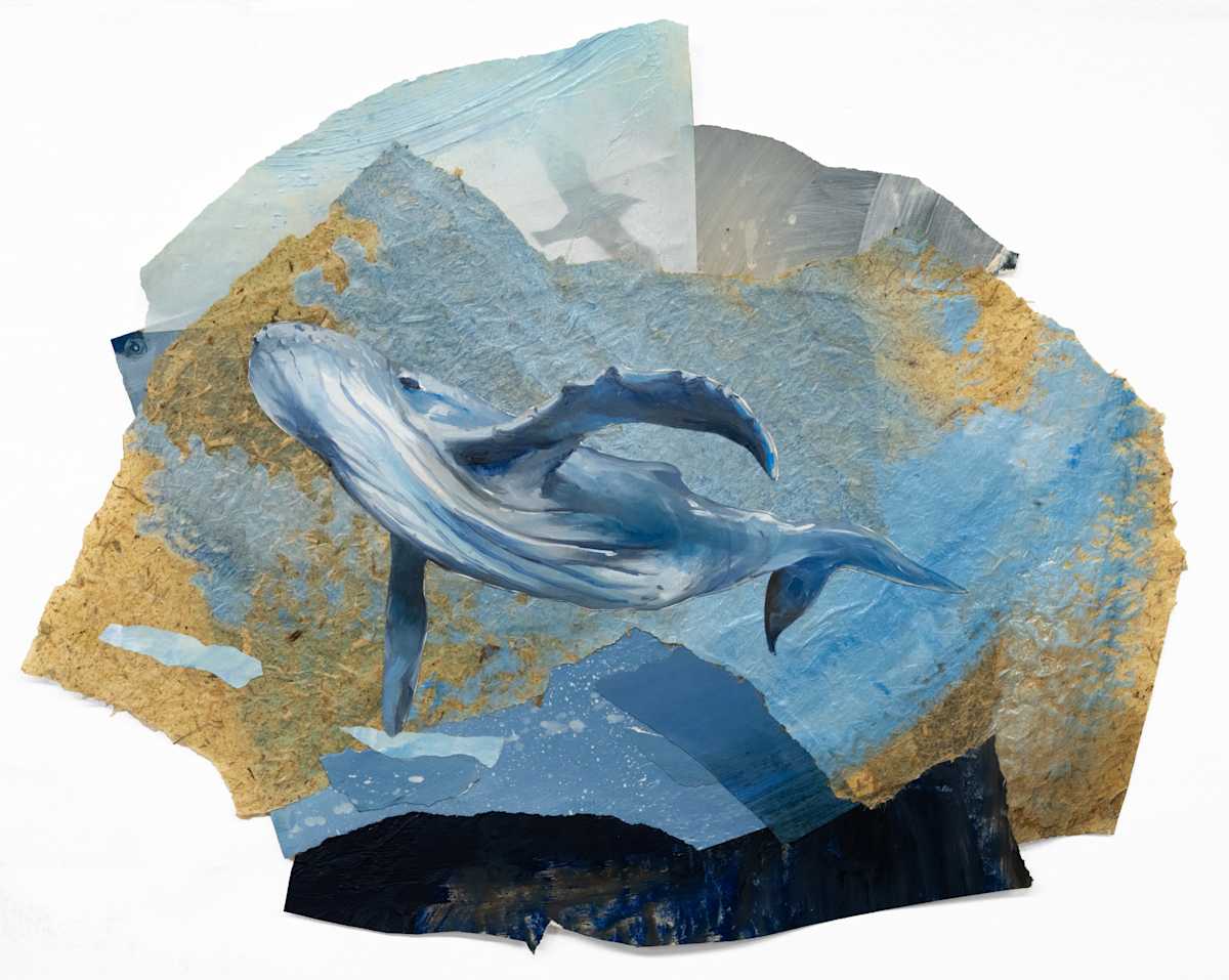 Humpback by Phil Irish, Image 2.