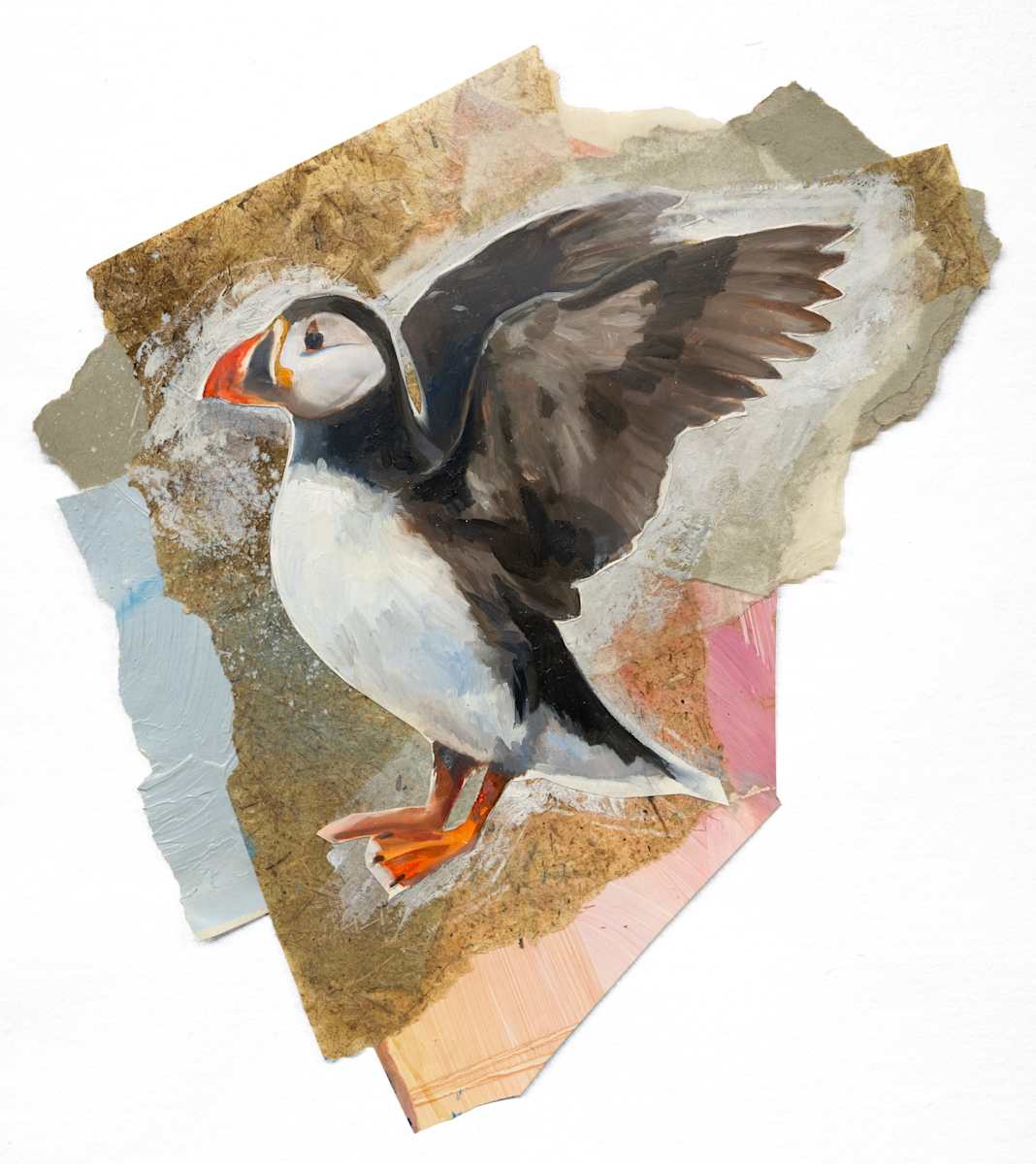 Puffin by Phil Irish, Image 2.