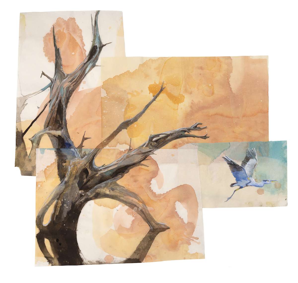 Heronry by Phil Irish, Image 2.