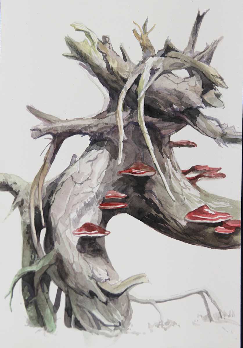 Killarney Watercolour 2 by Phil Irish, Image 1.