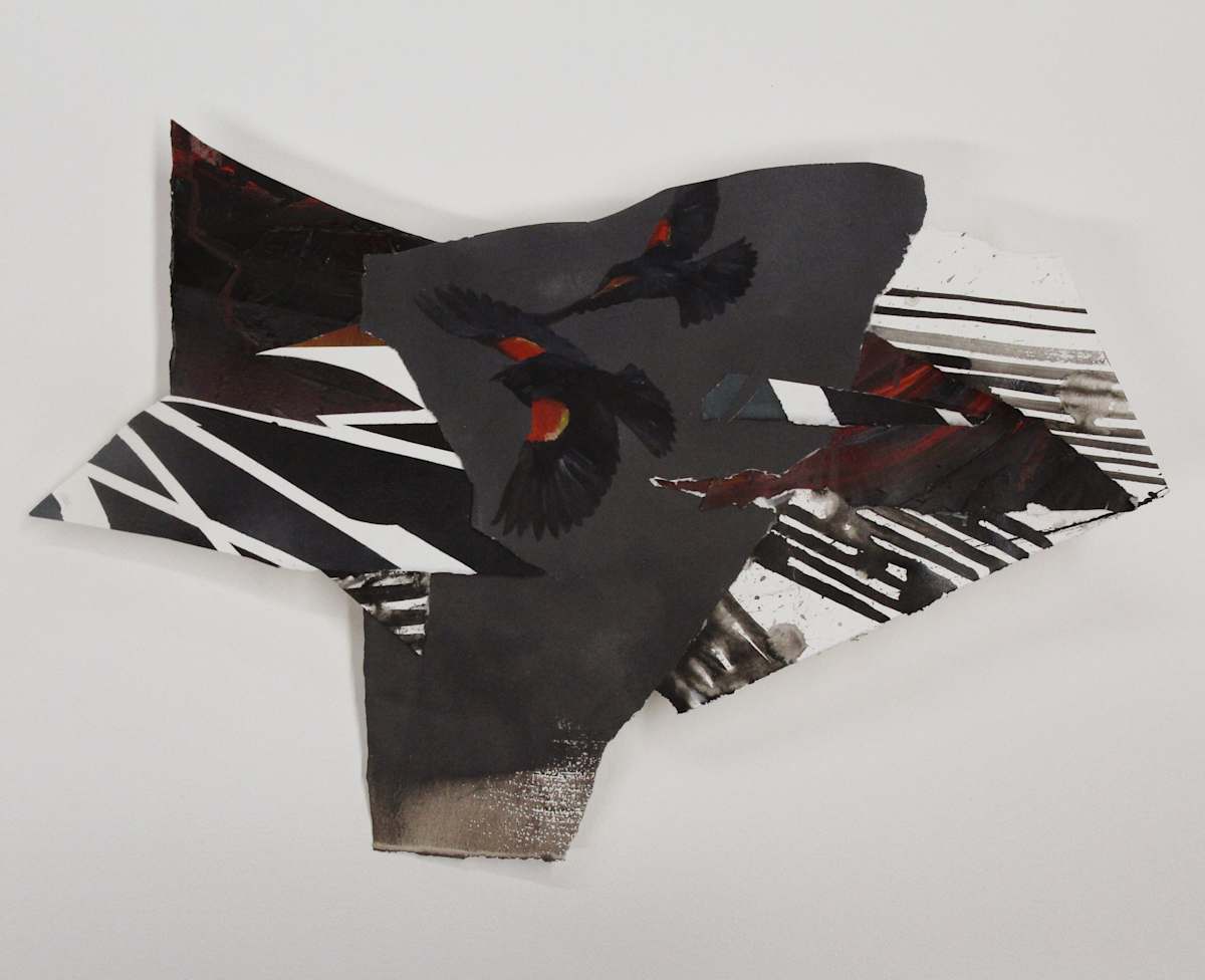 Redwing Collage by Phil Irish, Image 2.