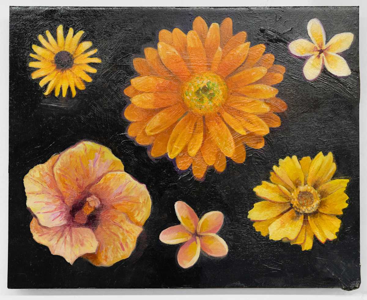 Orange Starflowers by Phil Irish, Image 1.