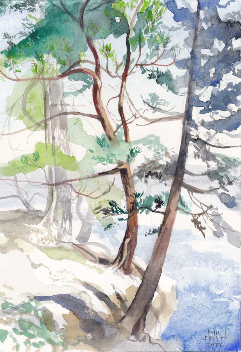Temagami Watercolour 1 by Phil Irish, Image 1.