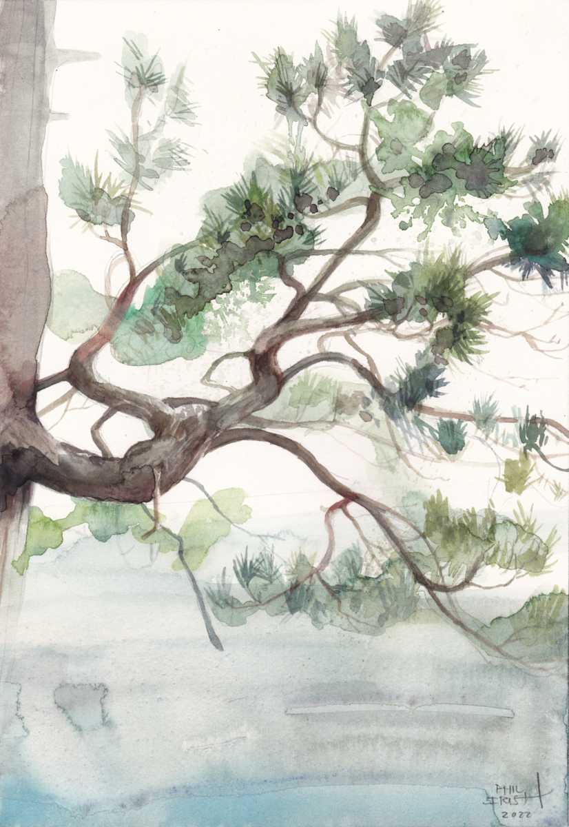 Temagami Watercolour 3 by Phil Irish, Image 1.