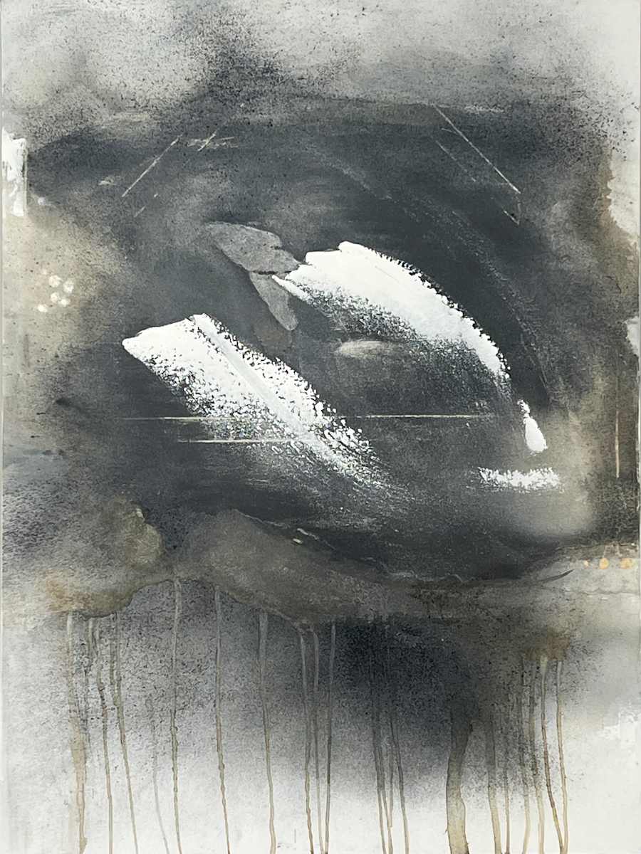 Echo by Helena Palazzi 