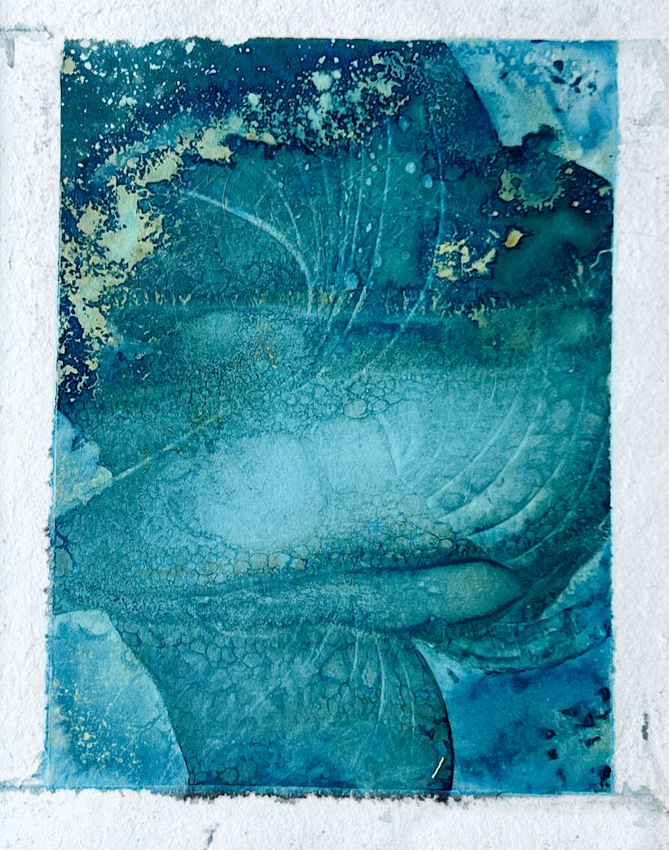 Fluidity no.2 by Helena Palazzi, Image 3.
