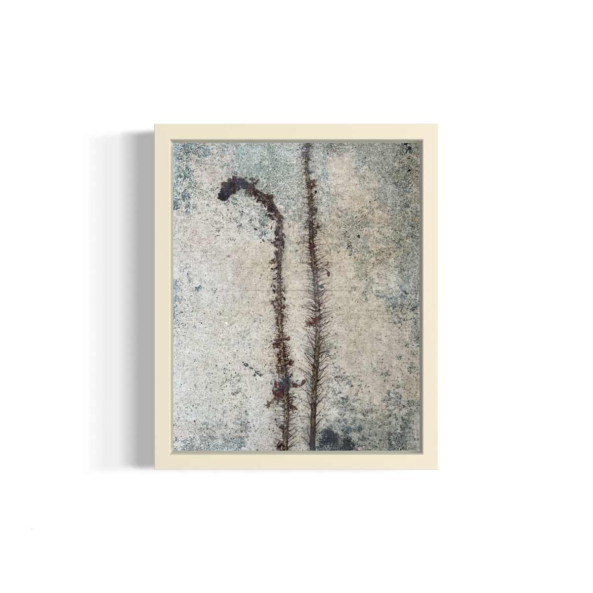 Natura Morta no. 6 by Helena Palazzi 
