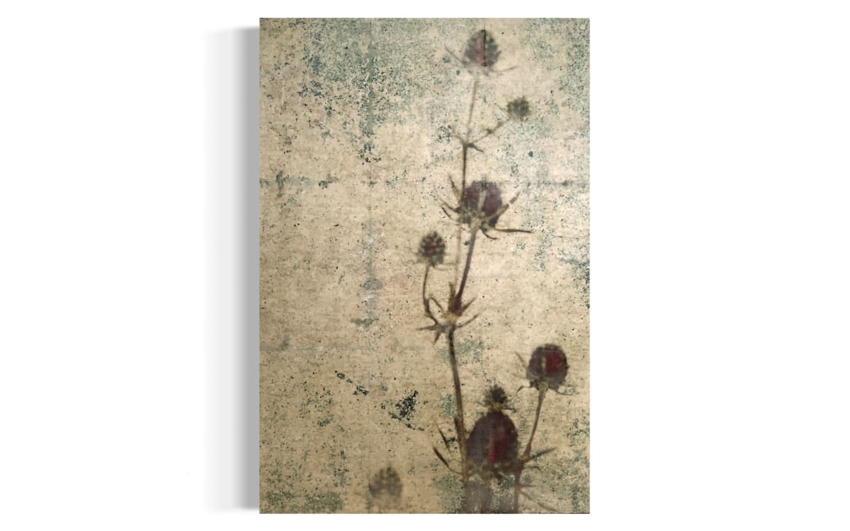 Natura Morta no. 14 by Helena Palazzi 