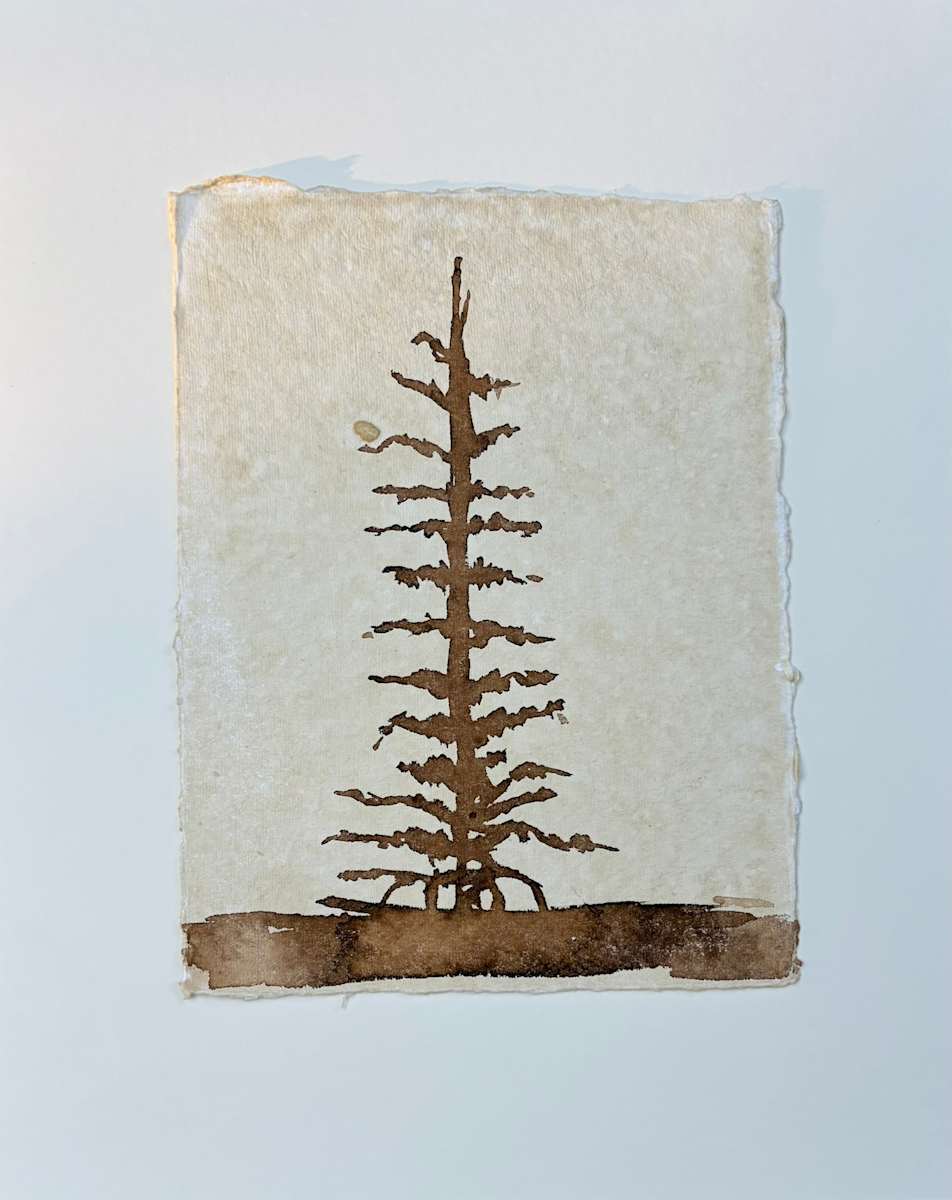 Higher Stillness by Courtney Cotton, Image 1.