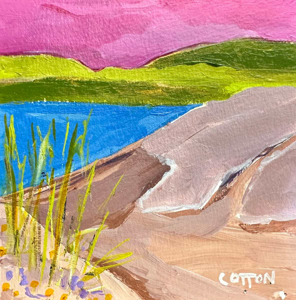 Lake Michigan III by Courtney Cotton 