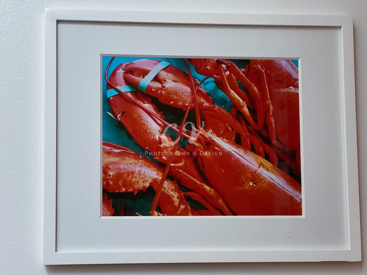 "Lobster Claws" by Christiana Vasilas 