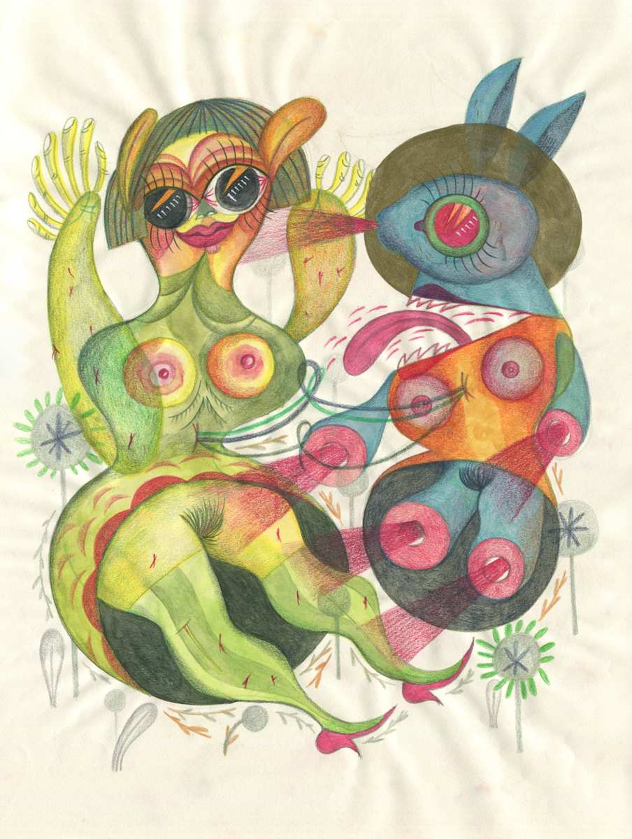 Shadow Rabbit, Image 1.