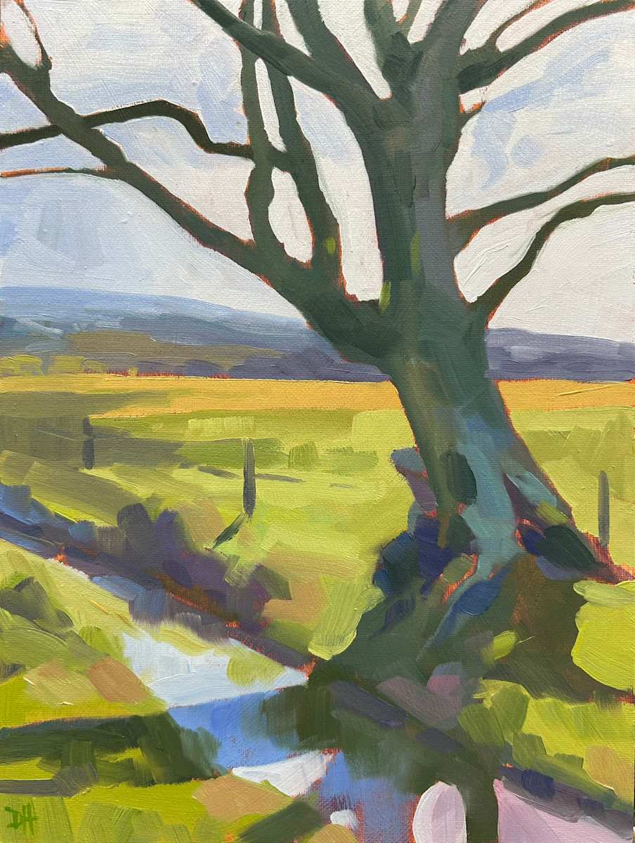 A Winter Oak by Dawn Harries 