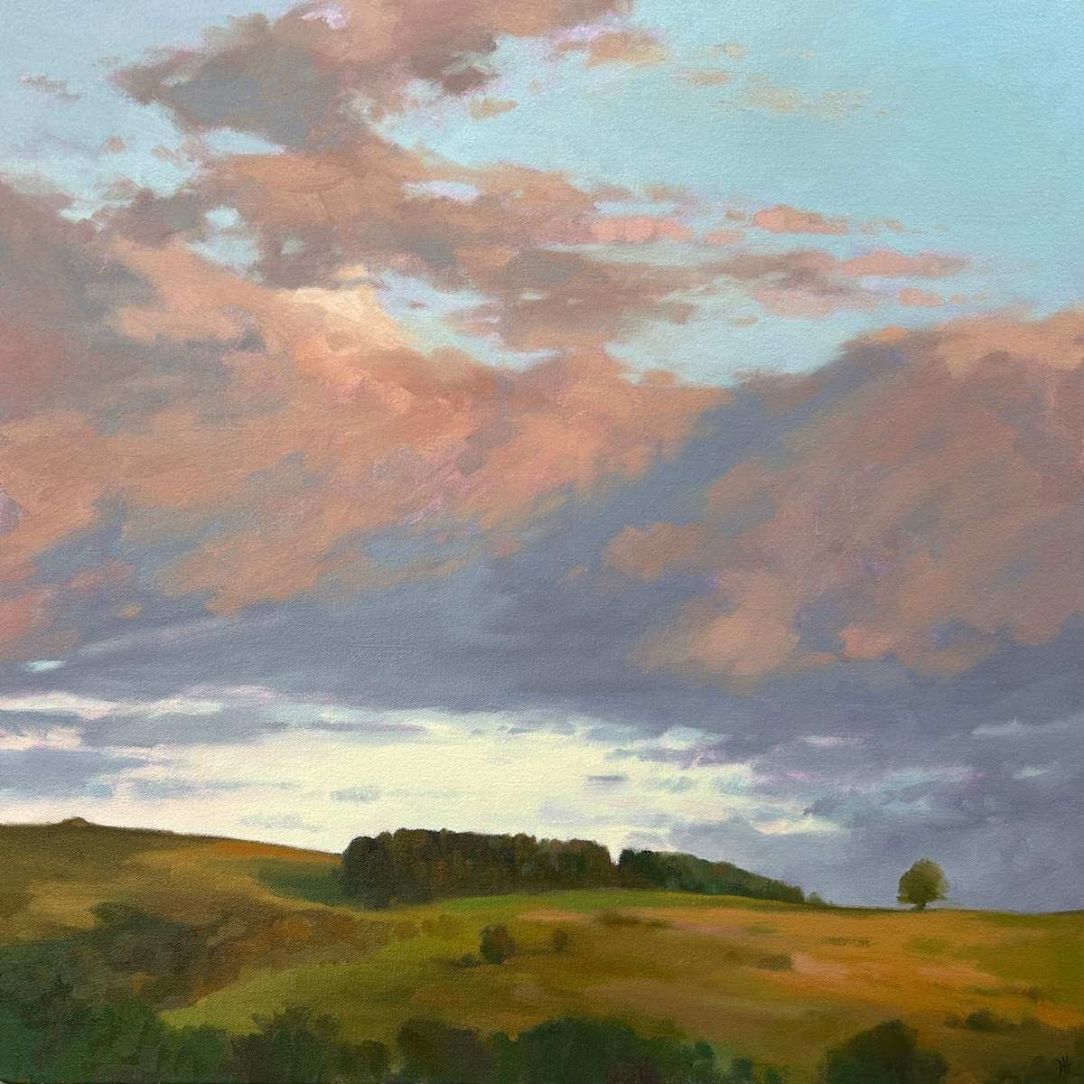 Evening Light by Dawn Harries, Image 1.