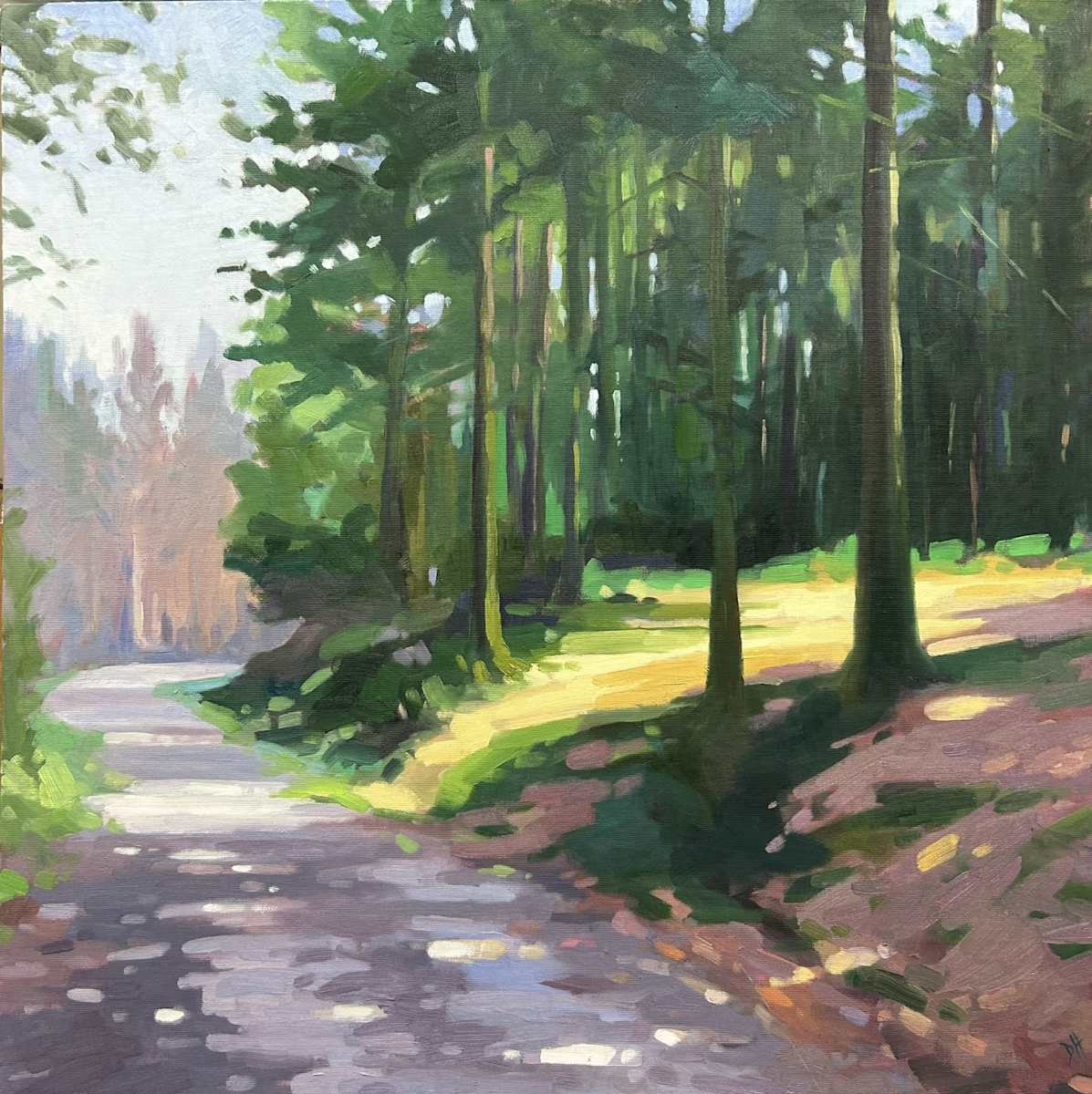 Forest Giants & Sunlight by Dawn Harries 