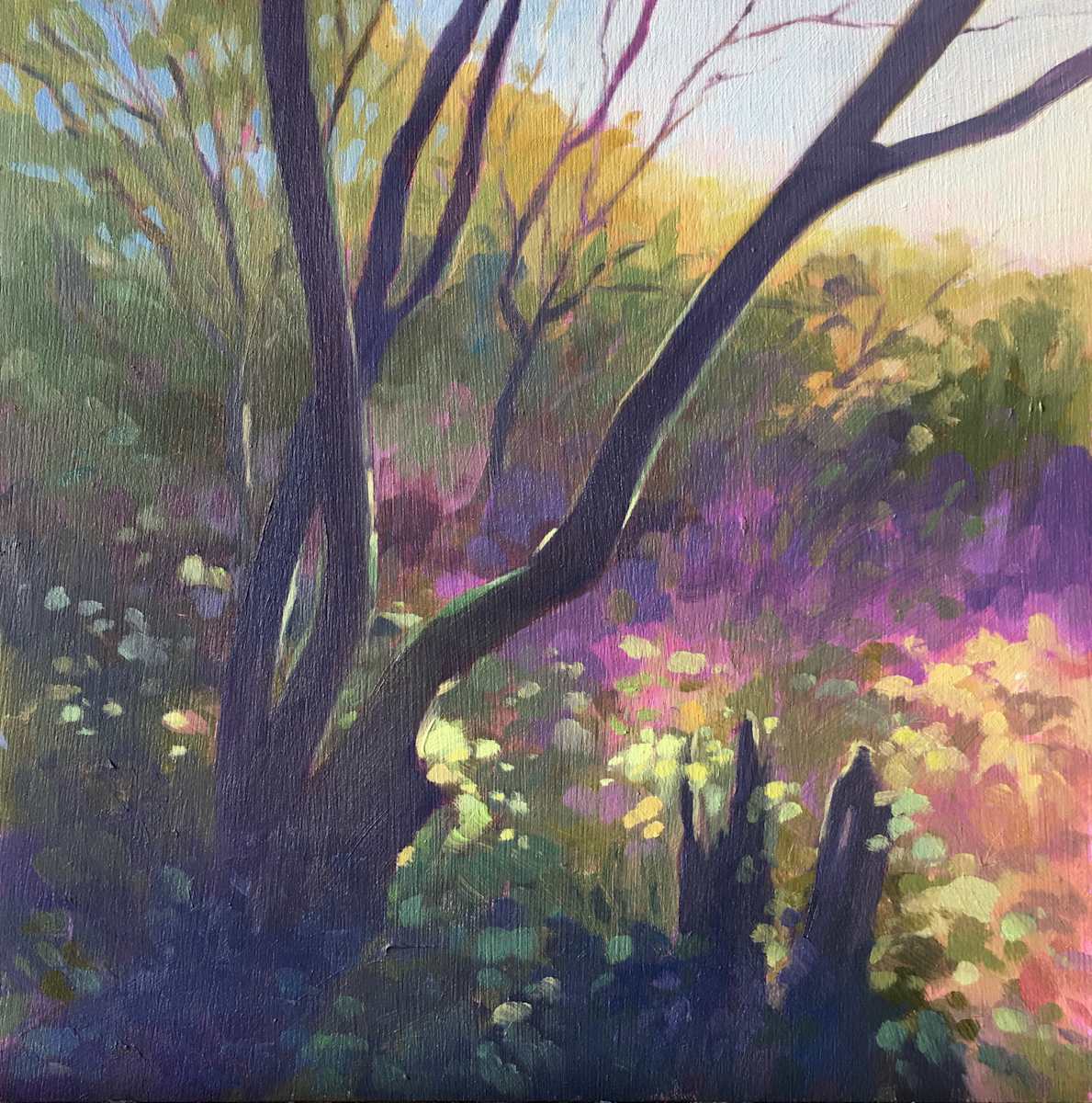 Golden Light by Dawn Harries 