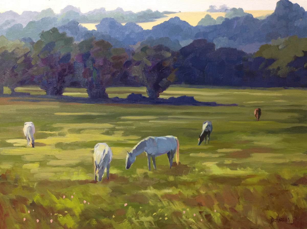 Horses at Sunset by Dawn Harries 