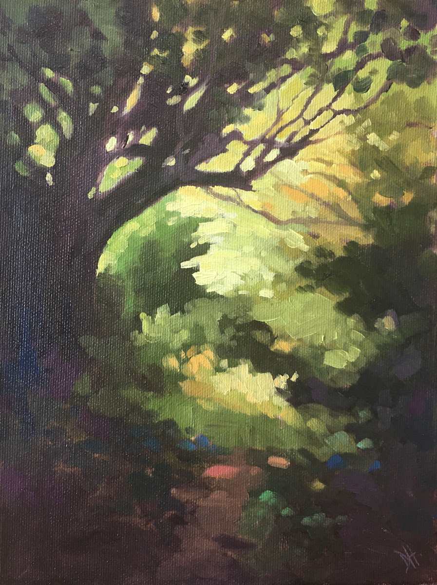 Into The Light by Dawn Harries 