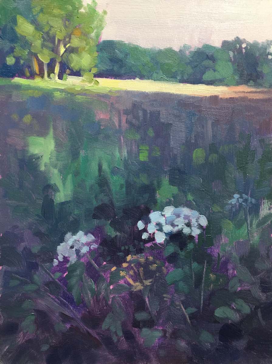 Light on the meadow by Dawn Harries 