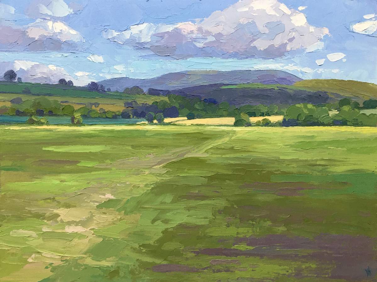 Llangorse Fields by Dawn Harries 