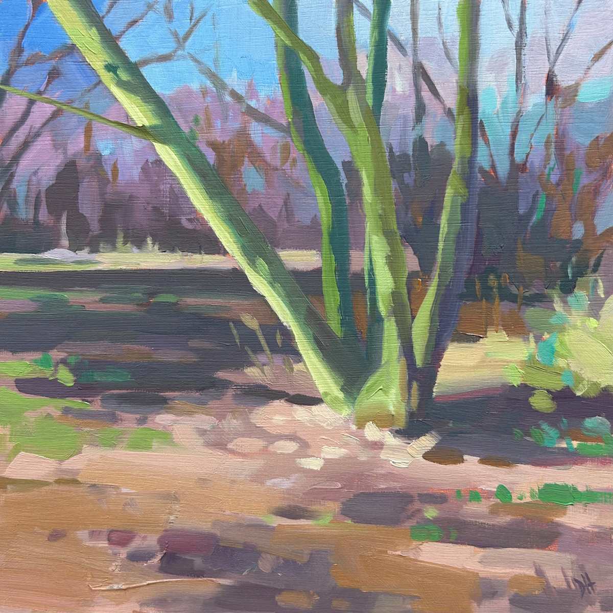 Park Light by Dawn Harries, Image 1.