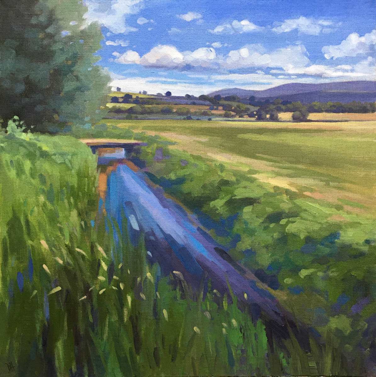 River Llynfi at Llangorse by Dawn Harries 