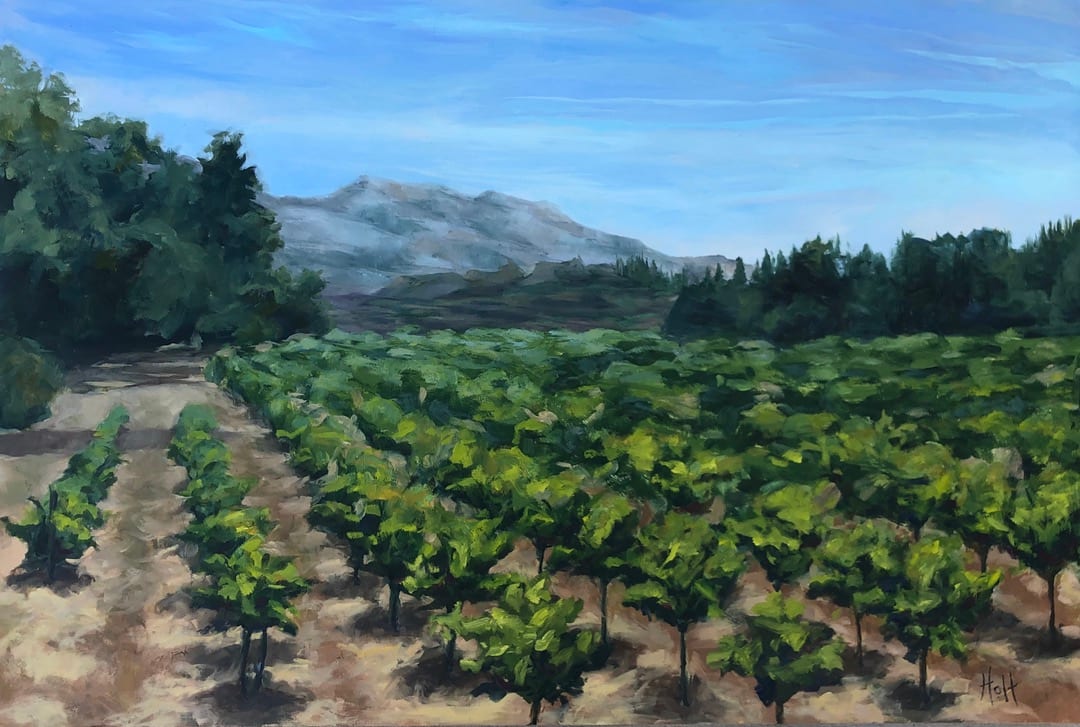 Vineyards of Aix by Holt Cleaver 