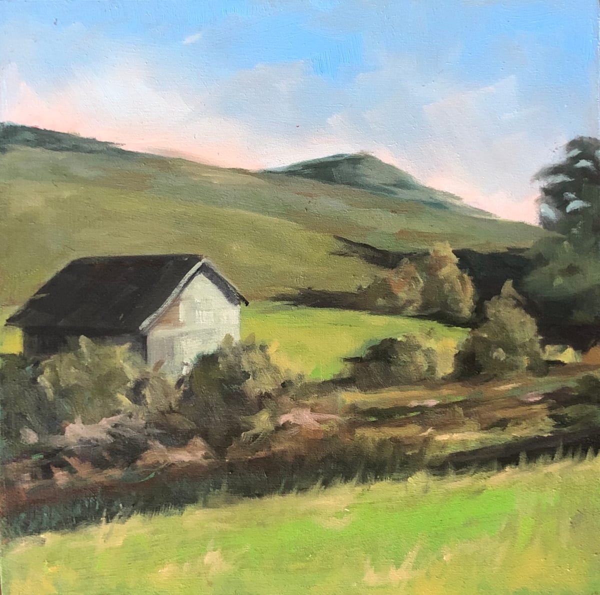 Blueridge Parkway by Holt Cleaver, Image 1.