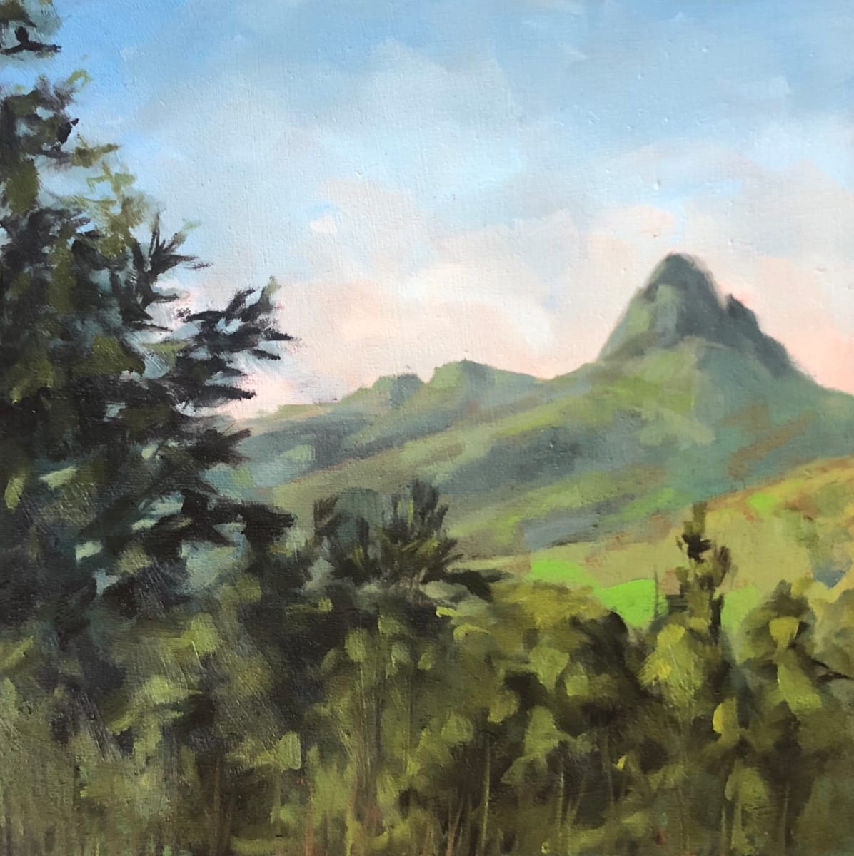 Blueridge Parkway by Holt Cleaver, Image 2.
