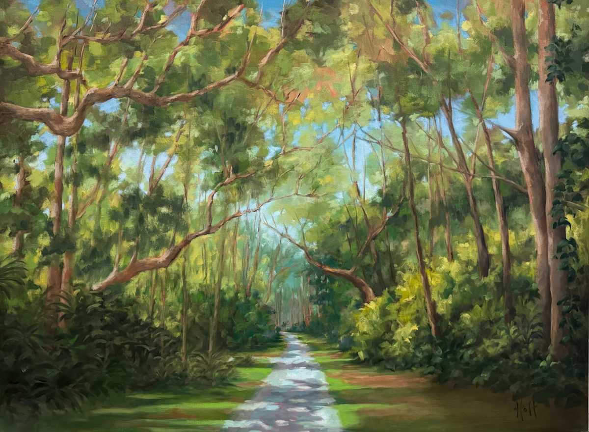 Tree Canopy Series by Holt Cleaver 