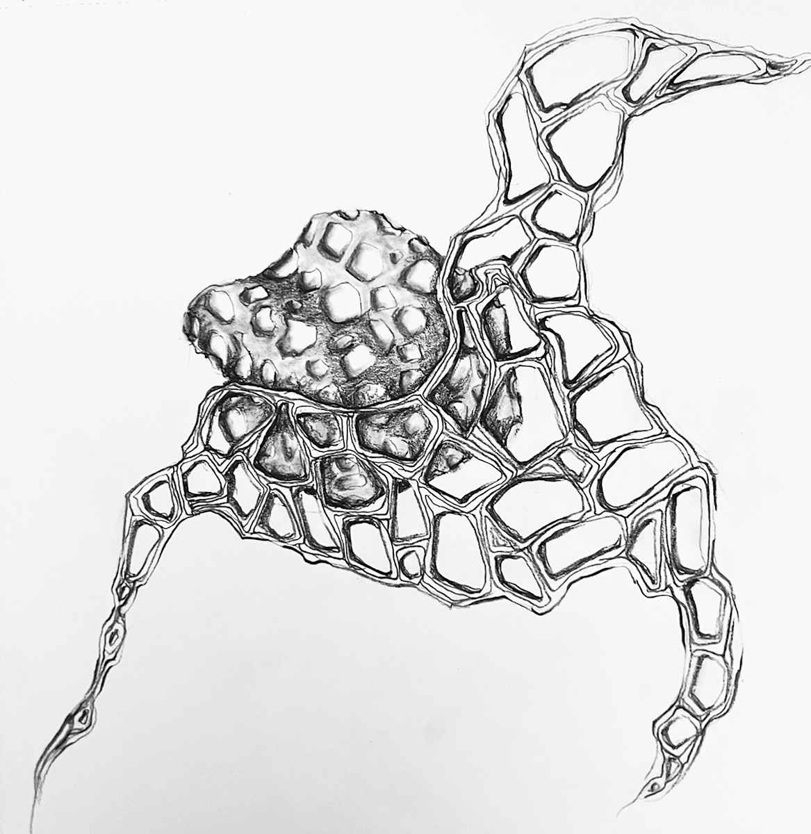 01.01.2024.001.365 by kristin s. street  Image: graphite drawing from the Ruminations 366 series