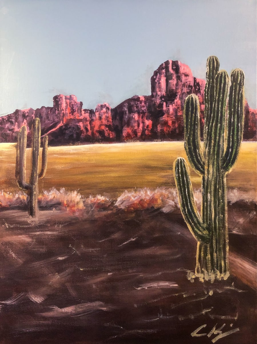 Helberg Cacti 