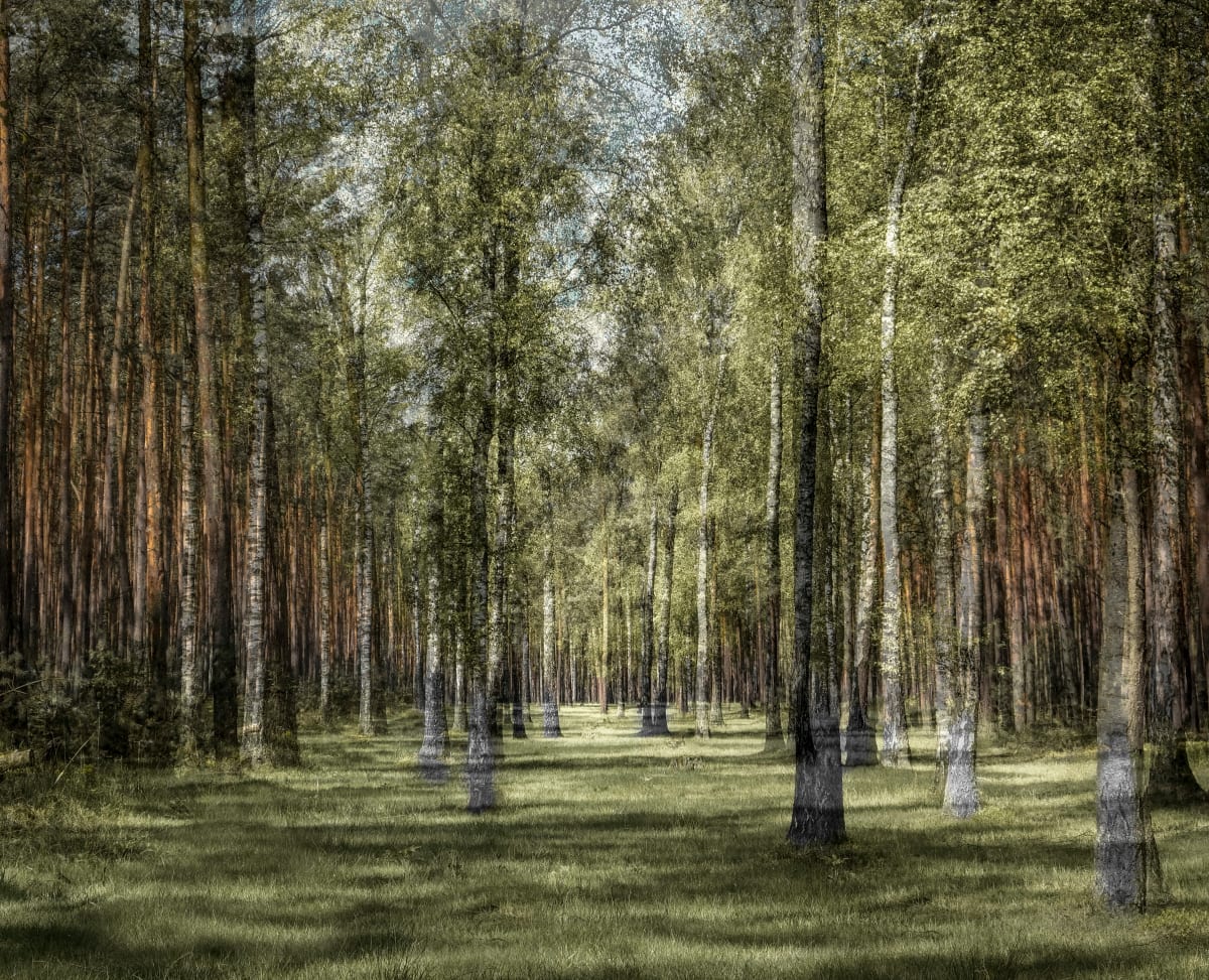 Fellow Men by Halina Hildebrand 