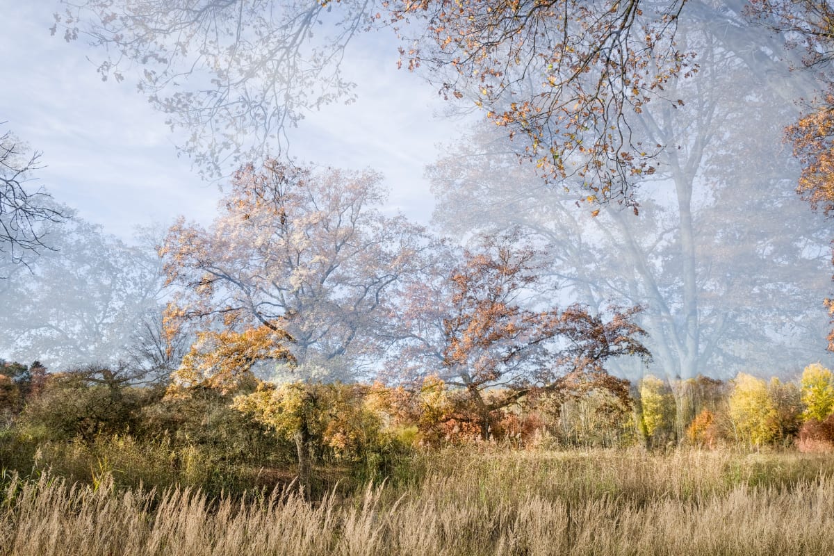 Quan Yin by Halina Hildebrand 