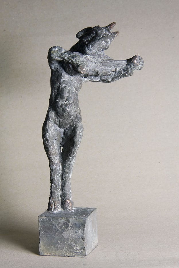 geigende Ziege by Julia Schleicher 