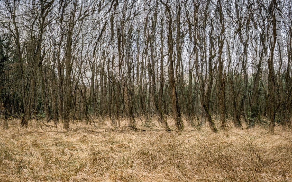 Unkempt by Halina Hildebrand 