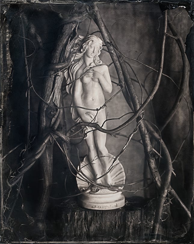 Venus Entwined  Image: This image is only sold as limited editioned Platinum/Palladium prints on handmade Japanese Gampi paper. Three editioned sizes are available.