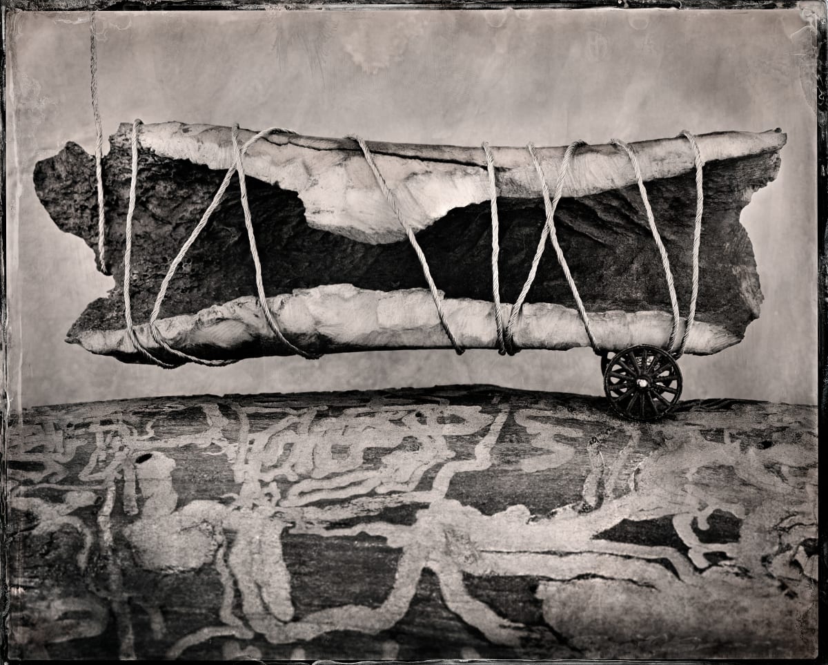 Bone Wagon  Image:     This image is only sold as limited editioned Platinum/Palladium prints on handmade Japanese Gampi paper. Three editioned sizes are available.