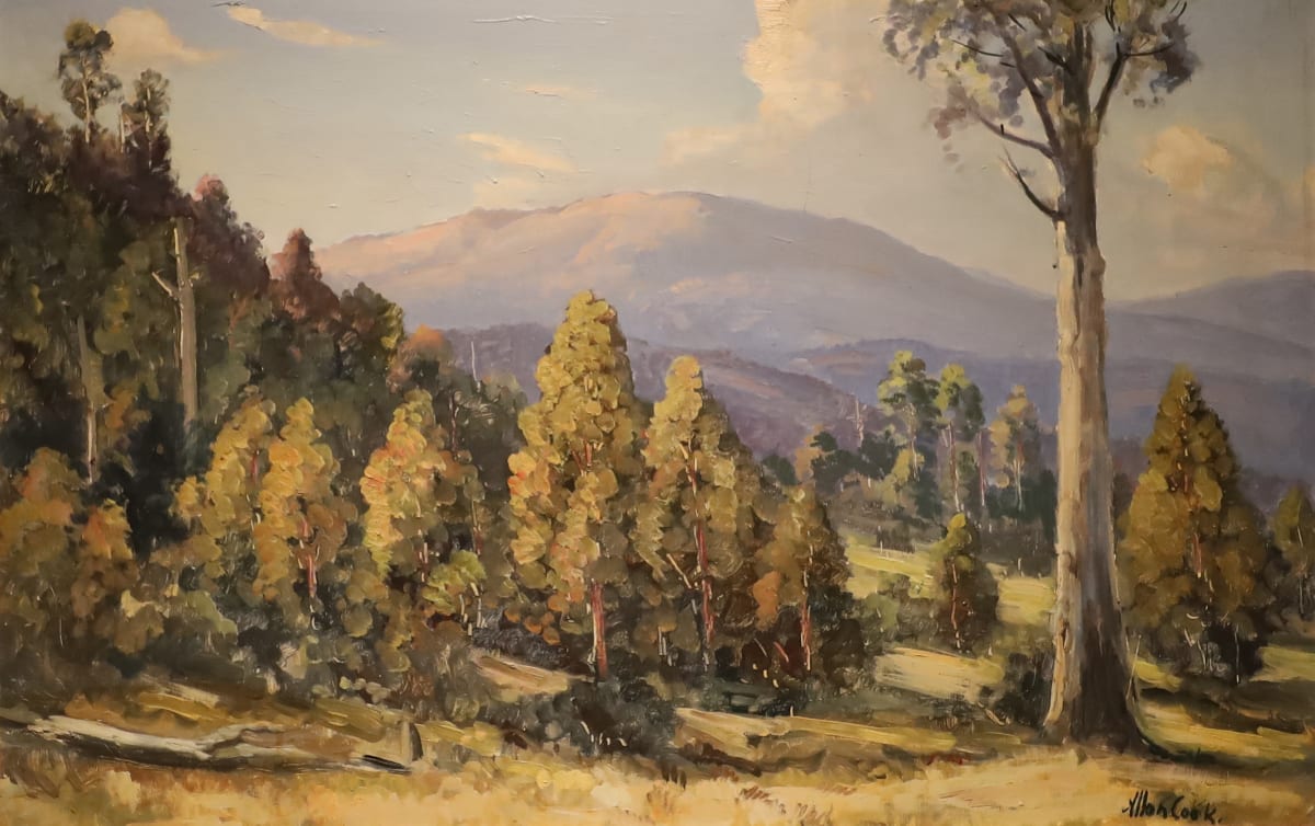 Olinda area by Allon Francis Cook, Image 1.
