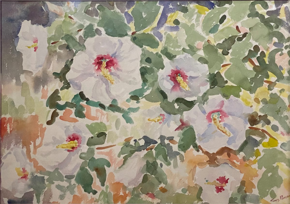 White Summer Flowers by Tunis Ponsen, Image 1.