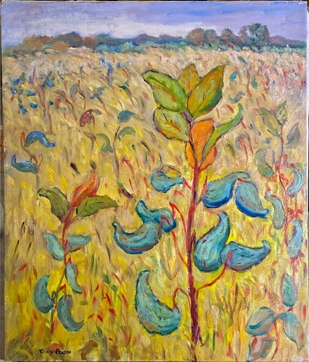 Field with Milkweeds by Tunis Ponsen 
