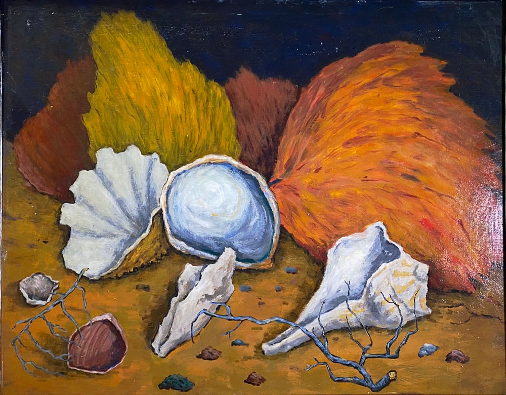 Still Life with Sea Fans and Shells by Tunis Ponsen 